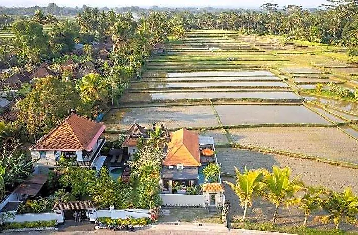 Umah Hotel BALI